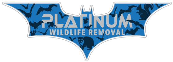 Park Wildlife Removal