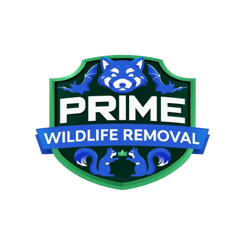 Park Wildlife Removal